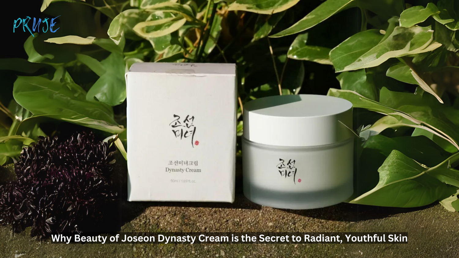 Beauty of Joseon, Dynasty Cream, Korean skincare essential, Moisturizing cream, Anti aging moisturizer